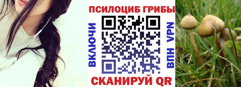 Псилоцибиновые грибы прущие грибы  Купить  Юрьев-Польский 
